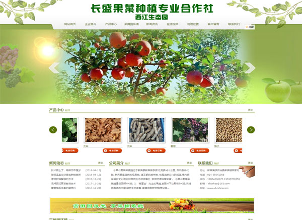 新宾满族自治县长盛果菜种植专业合作社